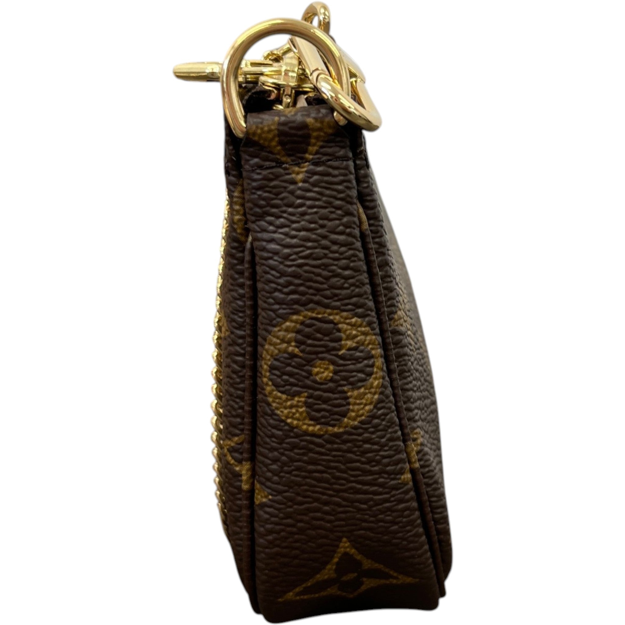 Women's Mini Pochette Accessoires Bag Brown