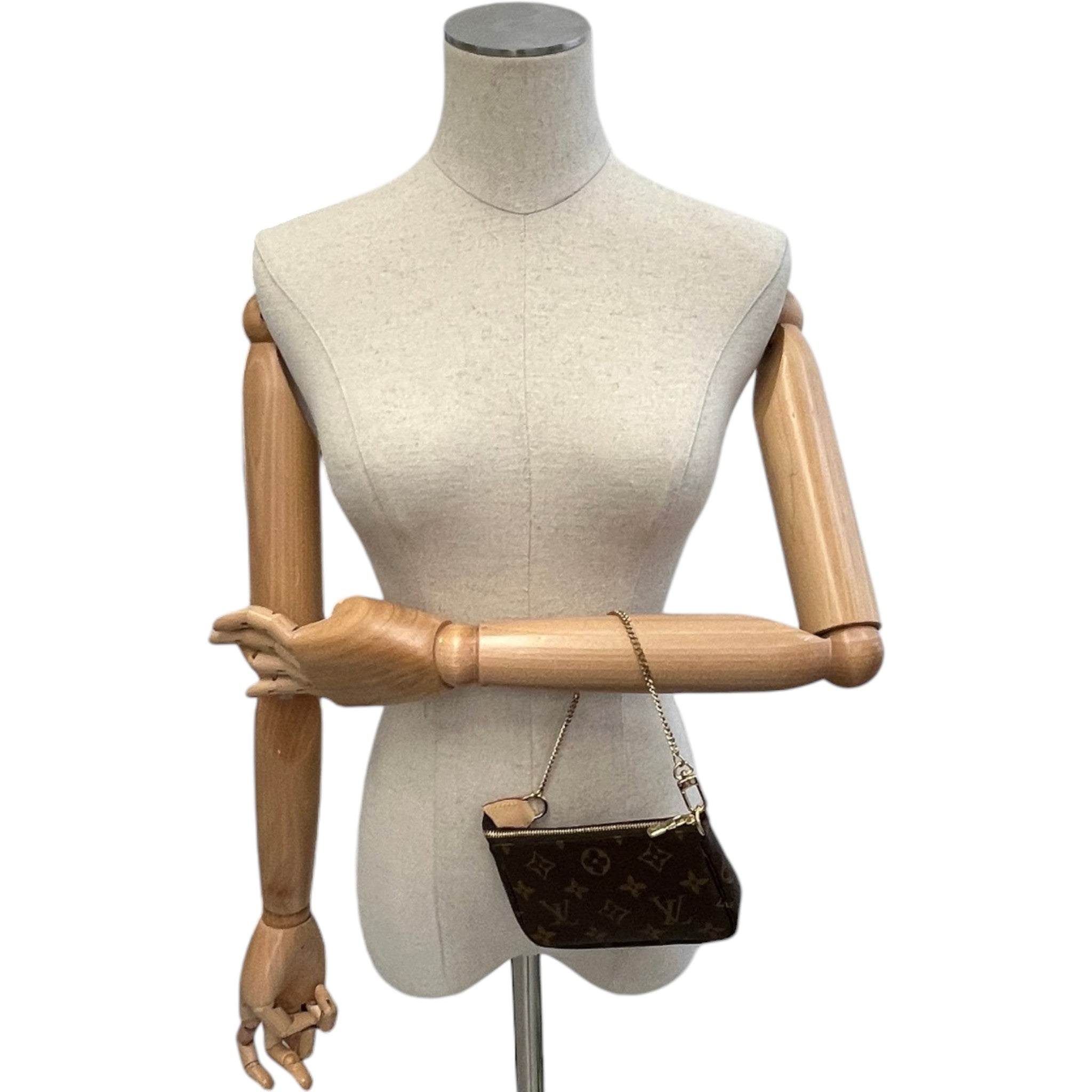 Women's Mini Pochette Accessoires Bag Brown