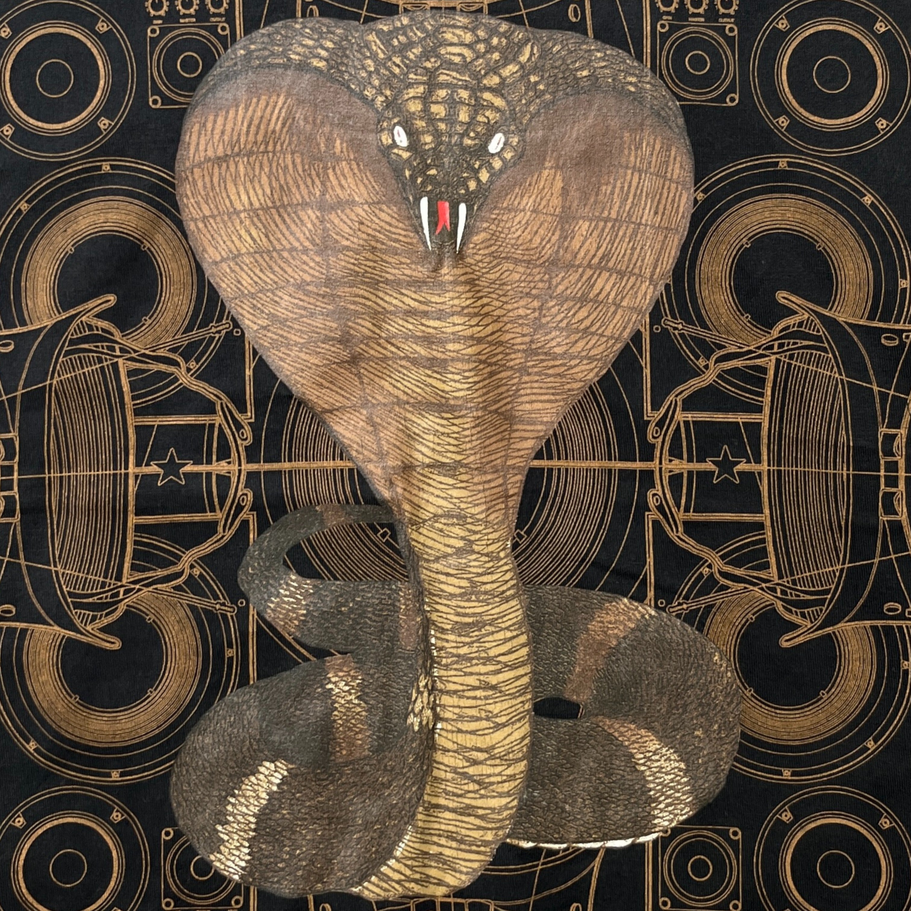 Men's Cobra Map Print T-Shirt Black Size S