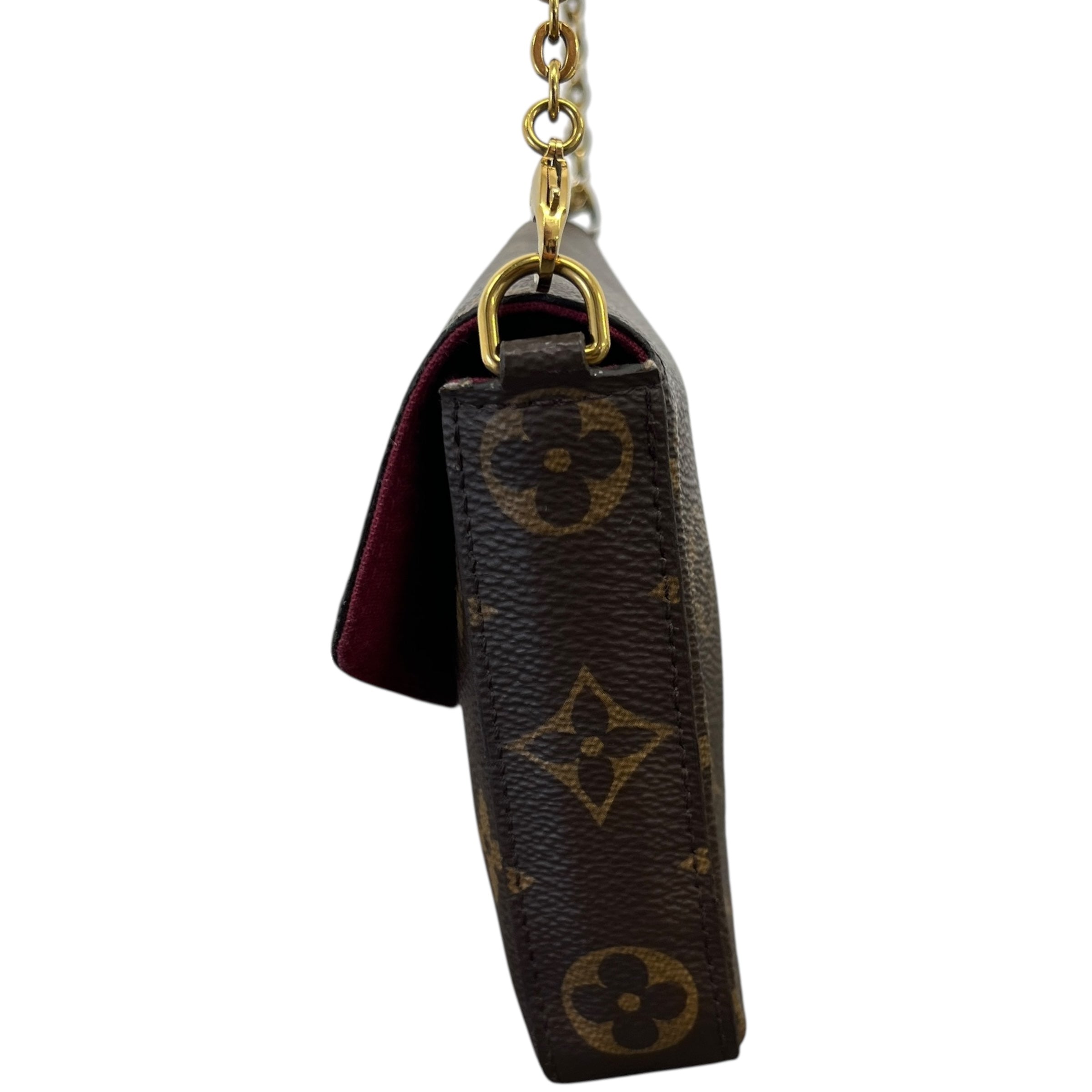 Women's Monogram Félicie Pochette Bag Brown