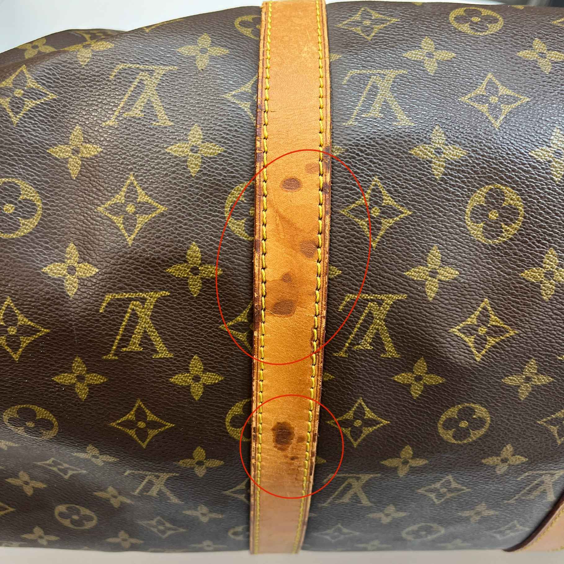 Men's Keepall 50 Bag Brown