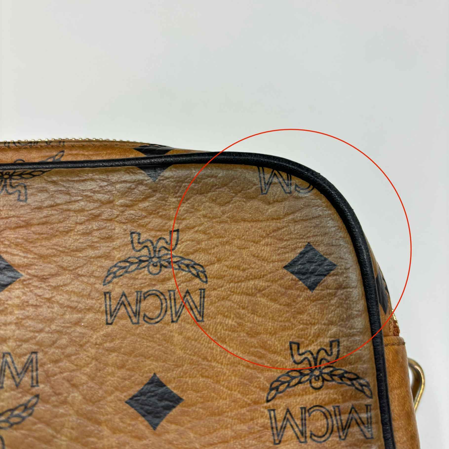 Women's Logo Print Bag Tan
