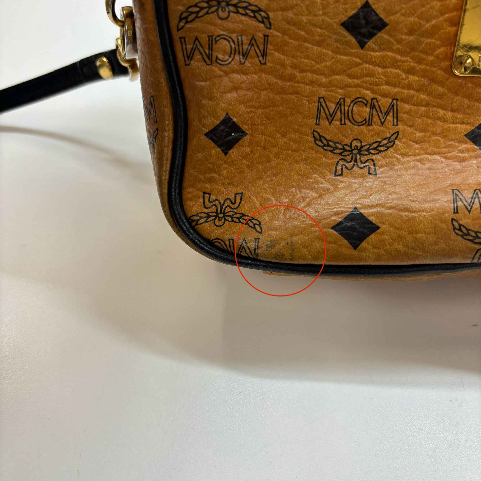 Women's Logo Print Bag Tan