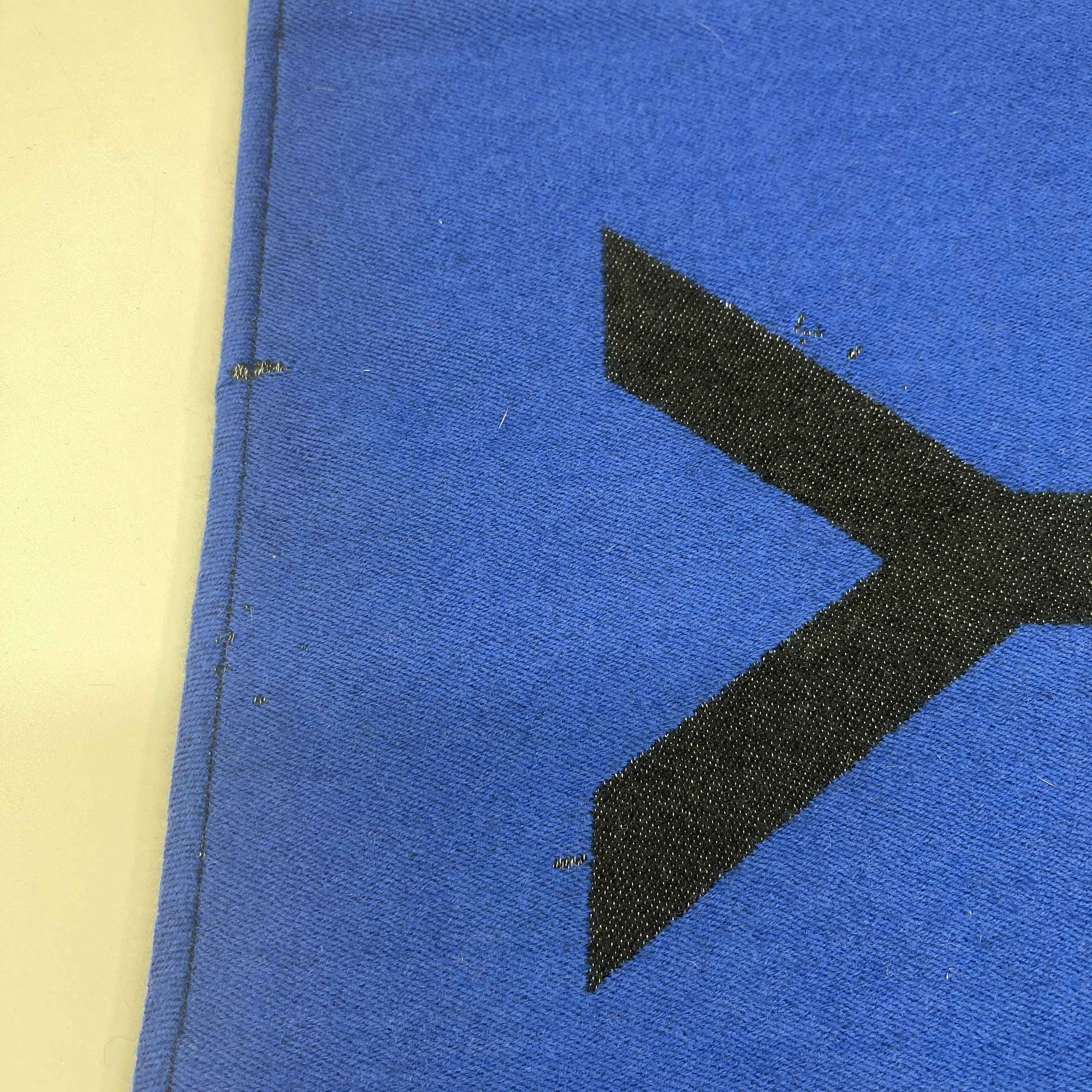 Men's Logo Print Scarf Blue