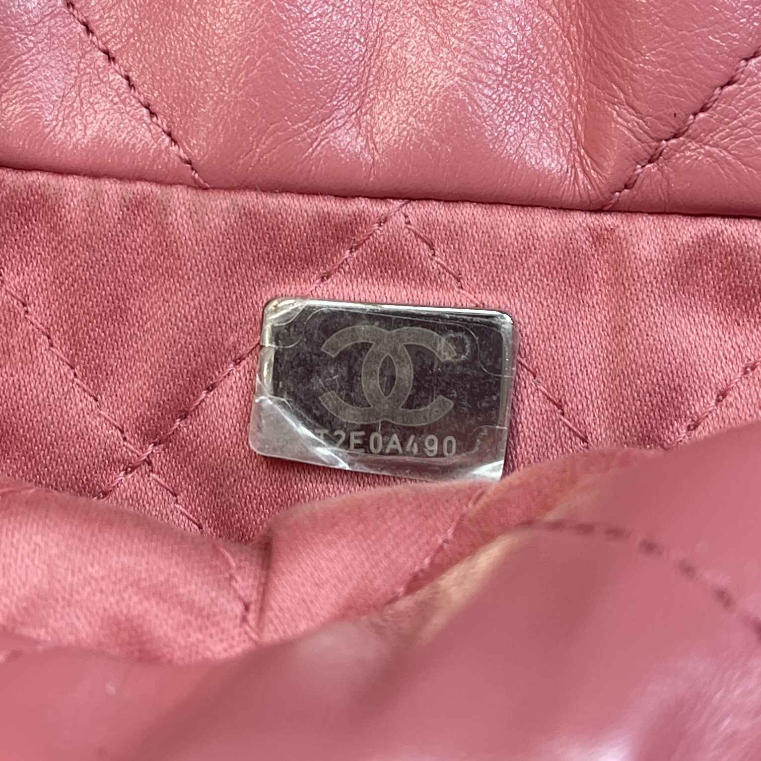 Women's 22 Mini Handbag Pink