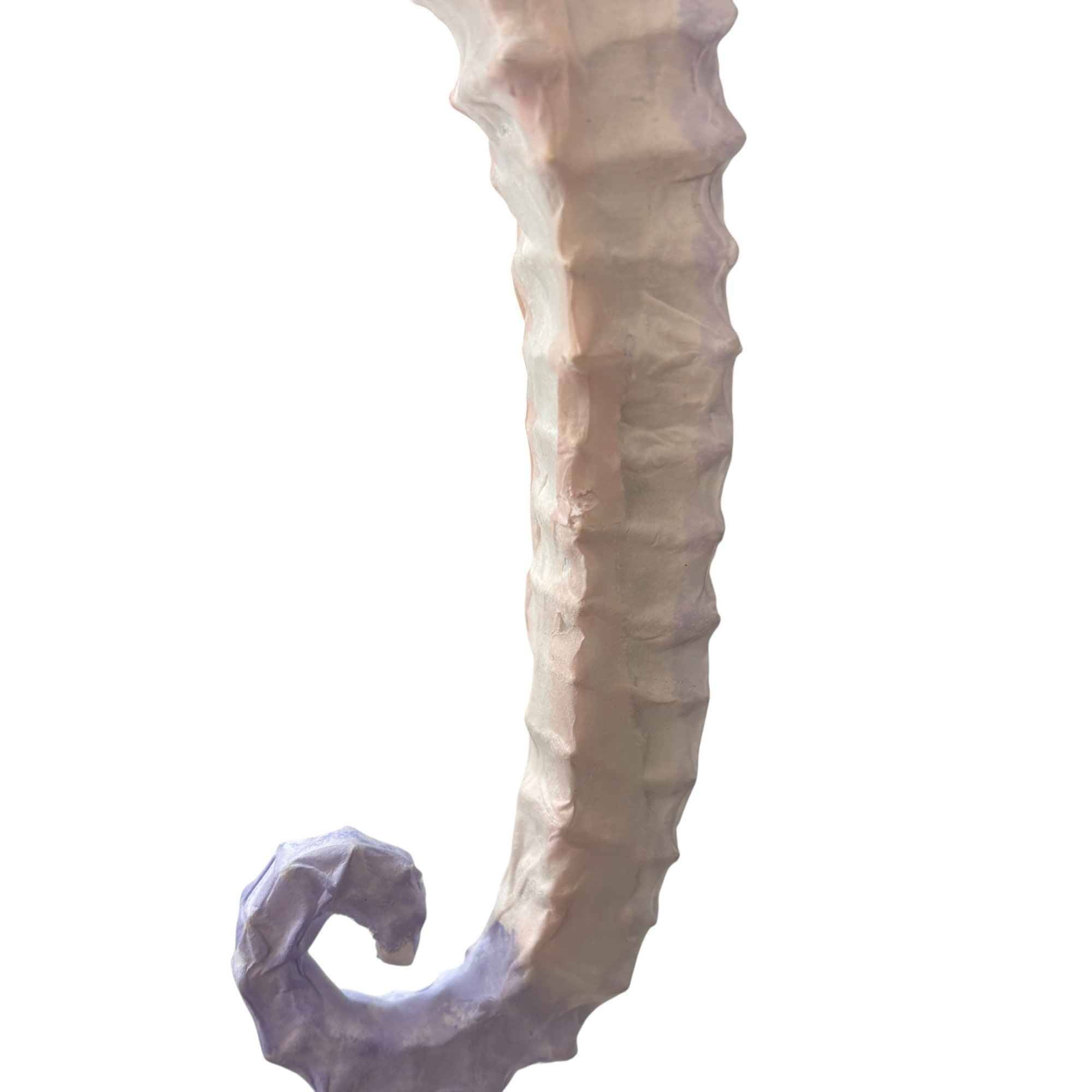 Women's Logo Seahorse Ornament 36Cm Charm Pink