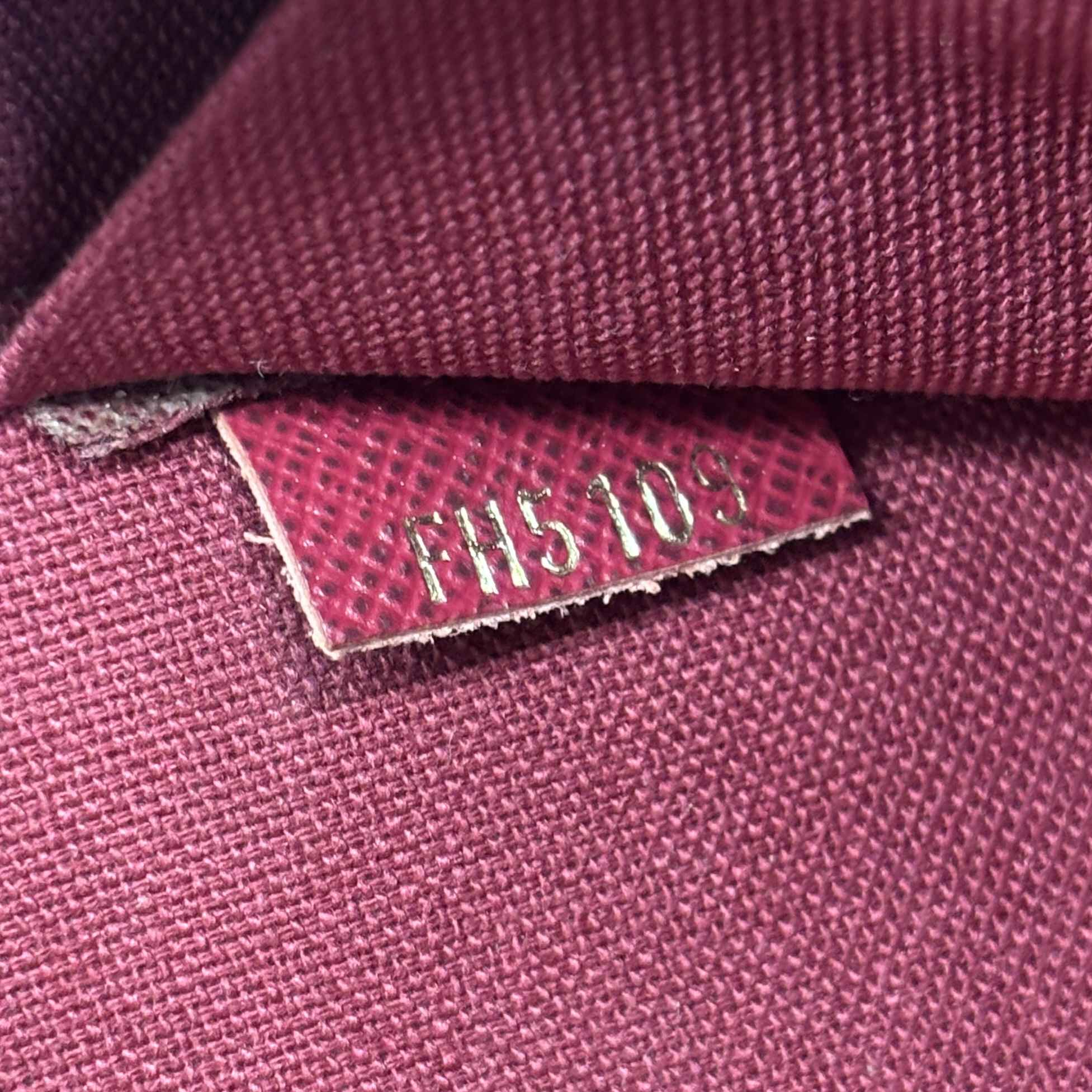 Women's Monogram Félicie Pochette Bag Brown