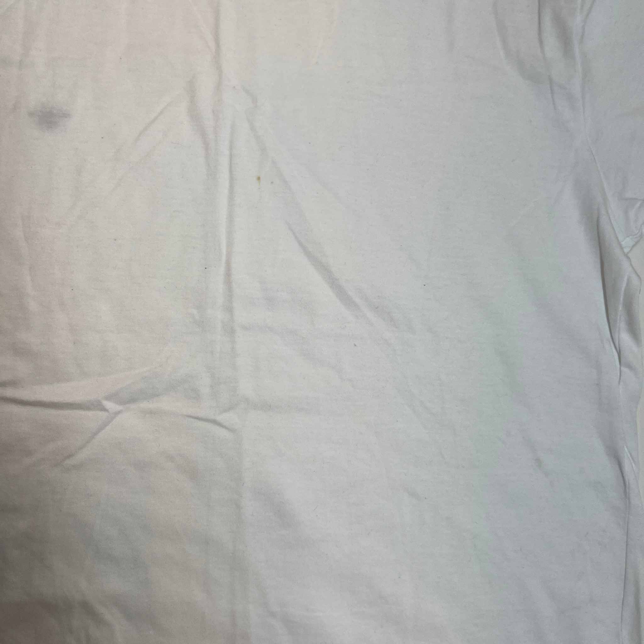 Men's Embroidered Bee T-Shirt White Size M