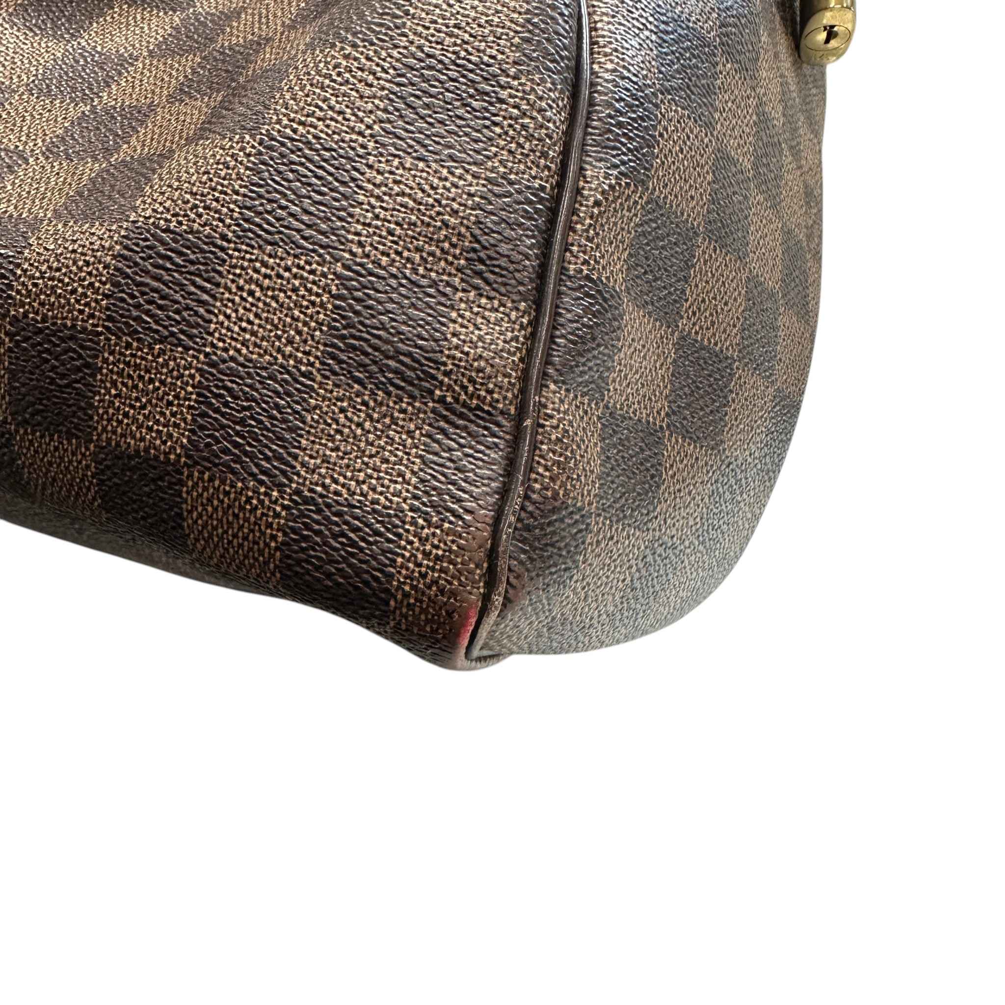 Women's Damier Ebene Speedy 30 Bag Brown