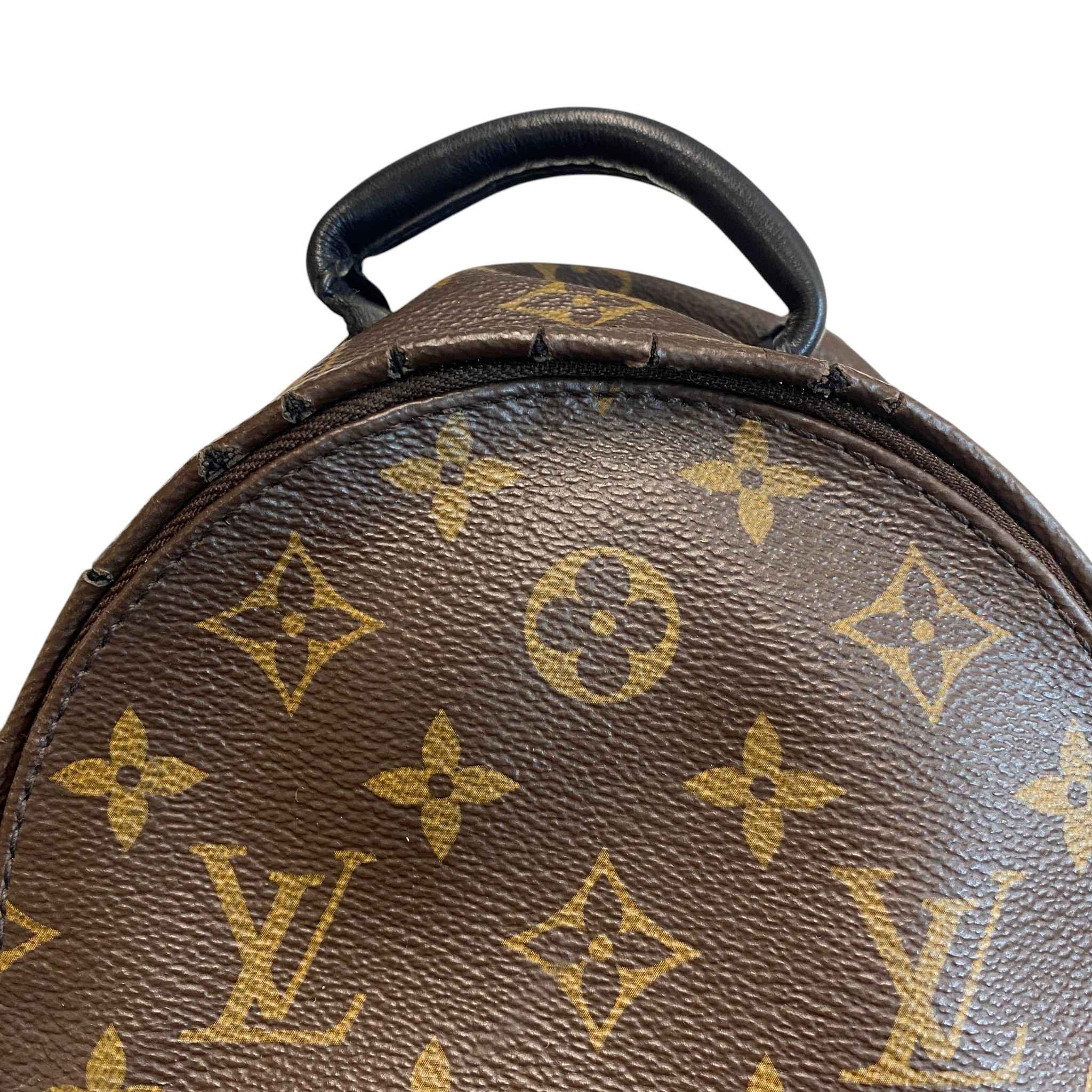 Women's Monogram Palm Springs Mini Backpack Brown