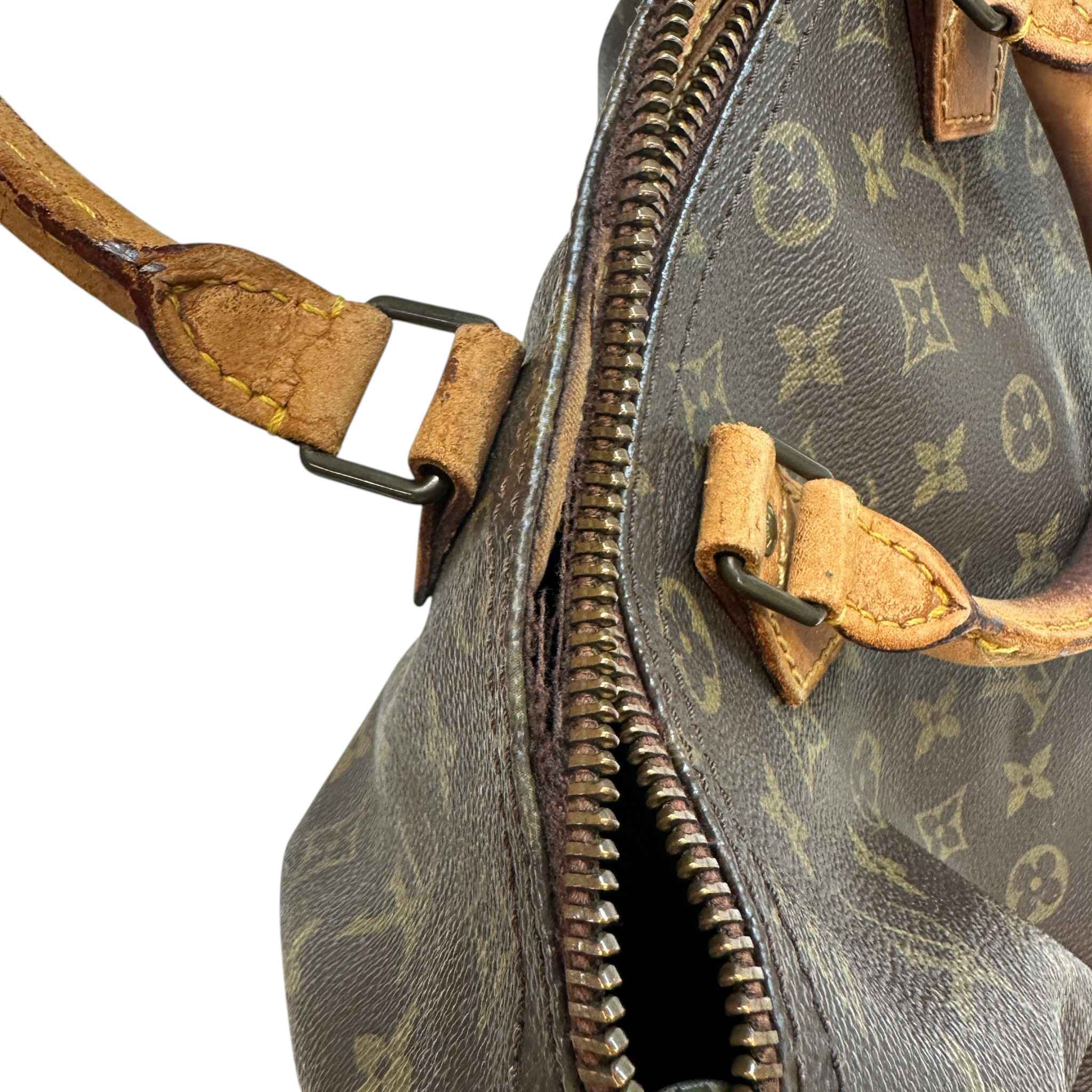 Women's Monogram Speedy 30 Bag Brown