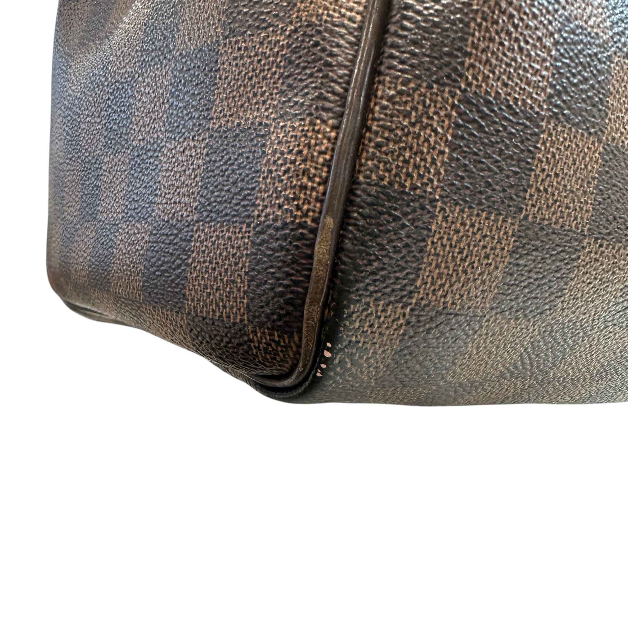 Women's Damier Ebene Speedy 30 Bag Brown
