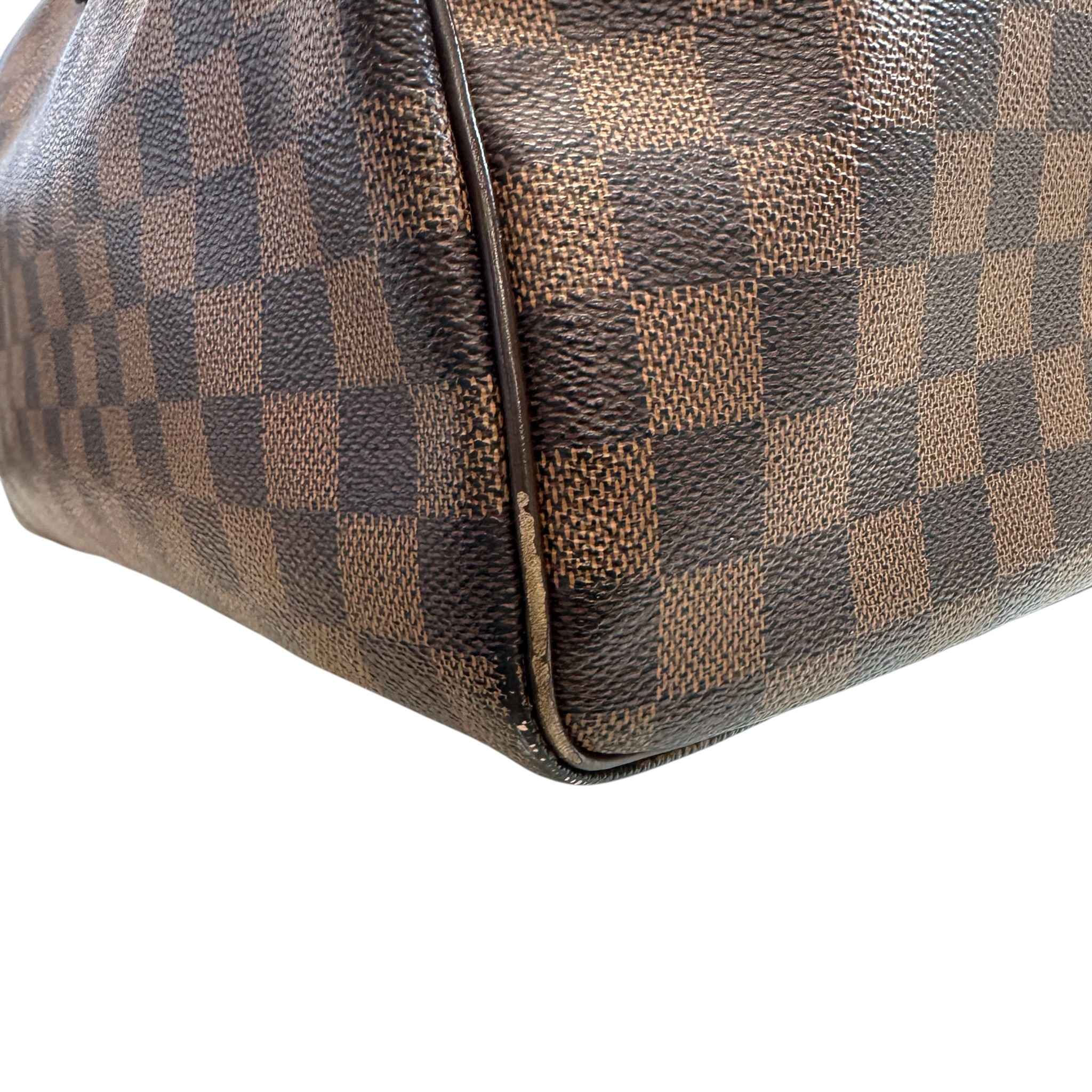Women's Damier Ebene Speedy 30 Bag Brown