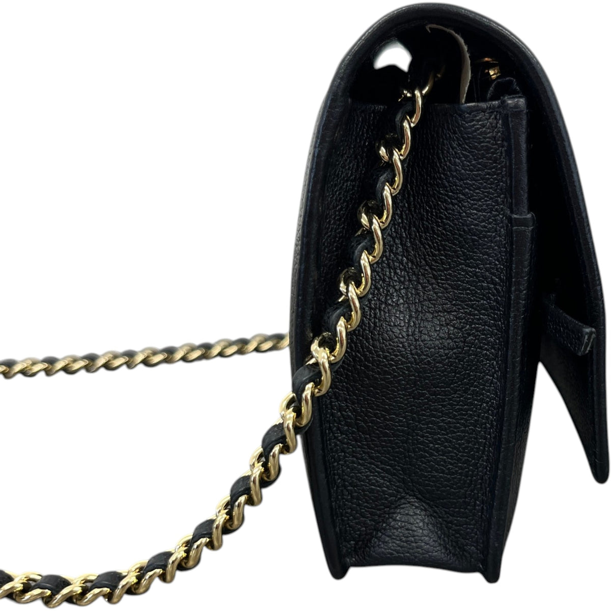 Women's Camellia Wallet On Chain Handbag Black - Photo 6