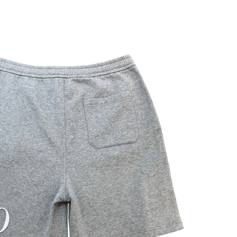 Men's Embroidered Logo Metallic Pocket Shorts Grey Size L / W34
