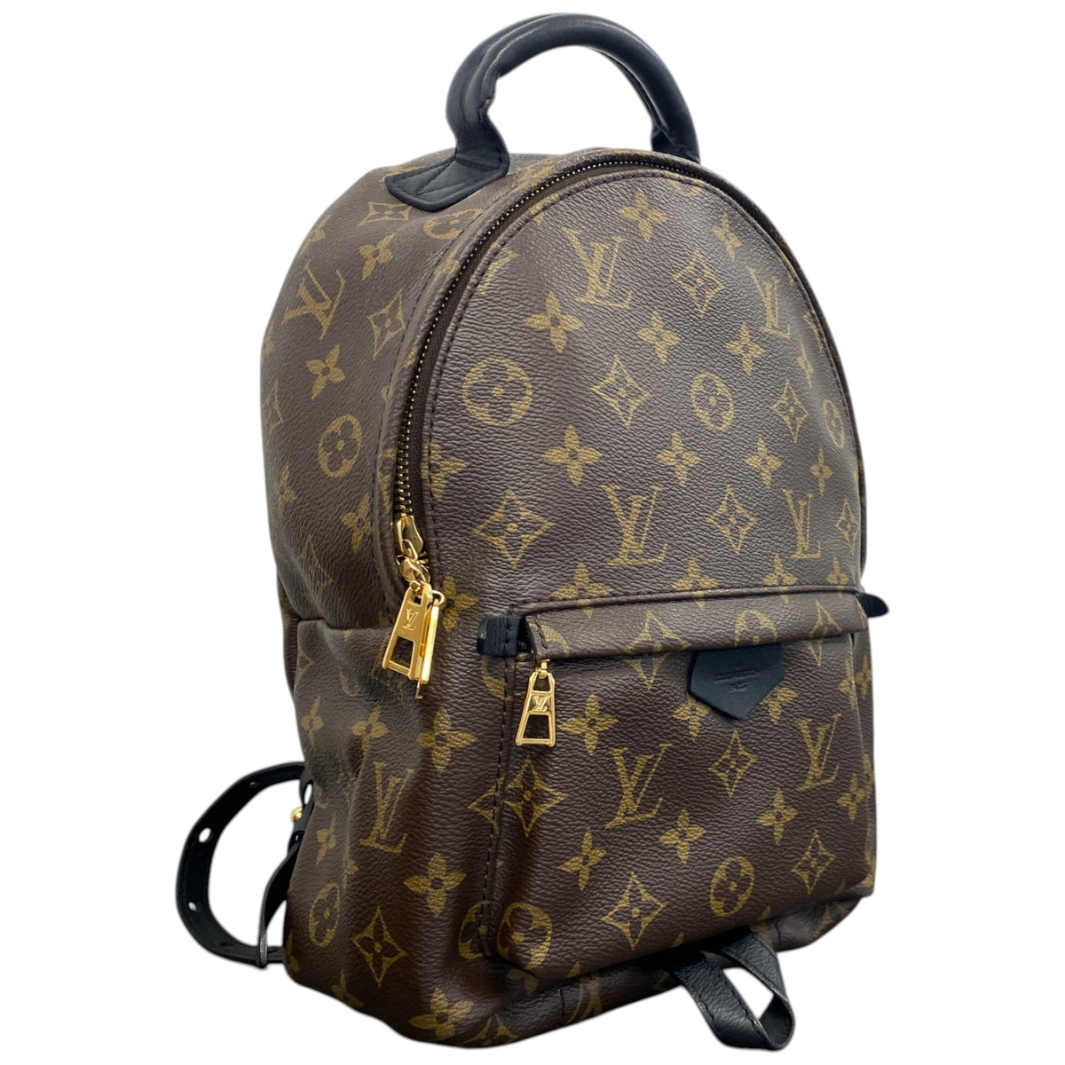 Women's Monogram Palm Springs PM Backpack Brown - Photo 3