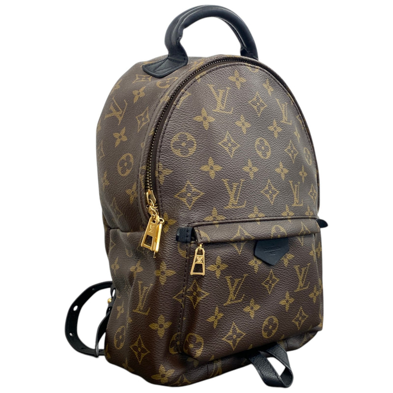 Women's Monogram Palm Springs PM Backpack Brown