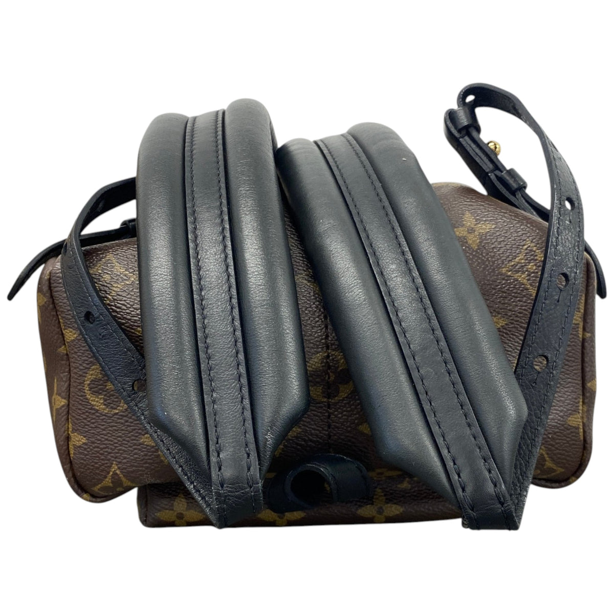 Women's Monogram Palm Springs PM Backpack Brown - Photo 6