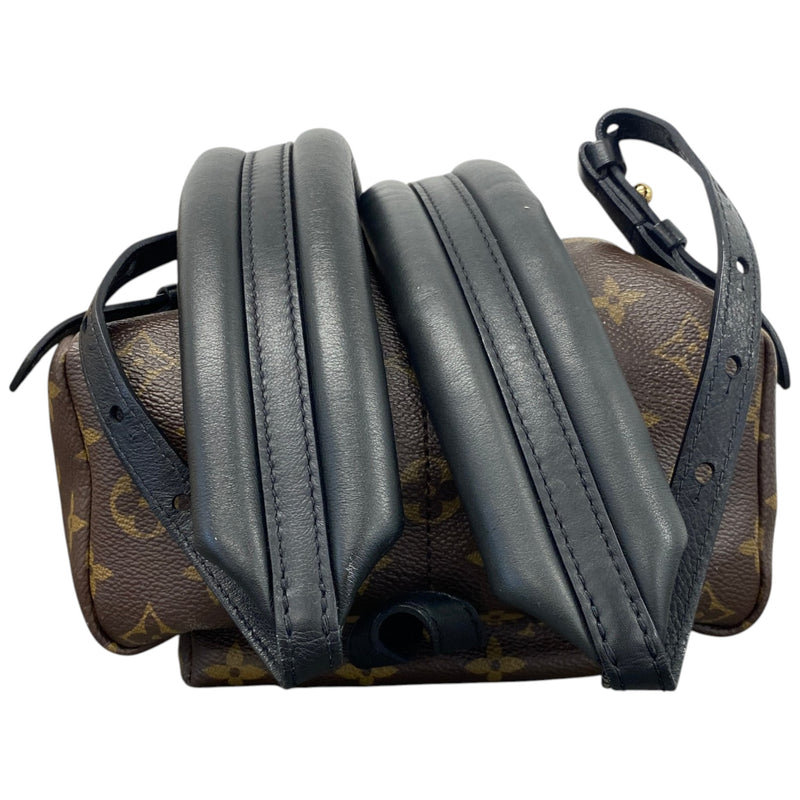 Women's Monogram Palm Springs PM Backpack Brown