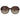 Women's Bl2024 03 Sunglasses Brown