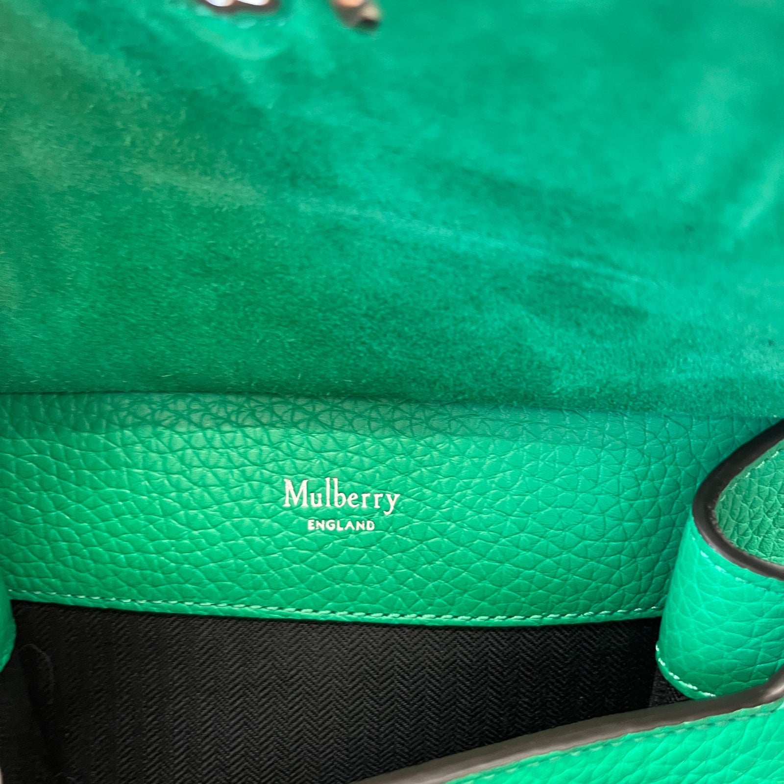 Women's Small Antony Crossbody Bag Green - Photo 10