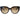 Women's Web Logo Sunglasses Black