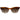 Men's Tortoiseshell Spr 11P 5419 4Bw6S1 1453N Sunglasses Brown