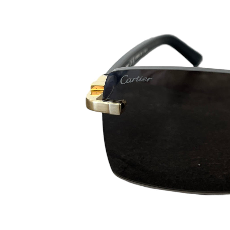 Men's Signature C Square-Frame Acetate Sunglasses Black