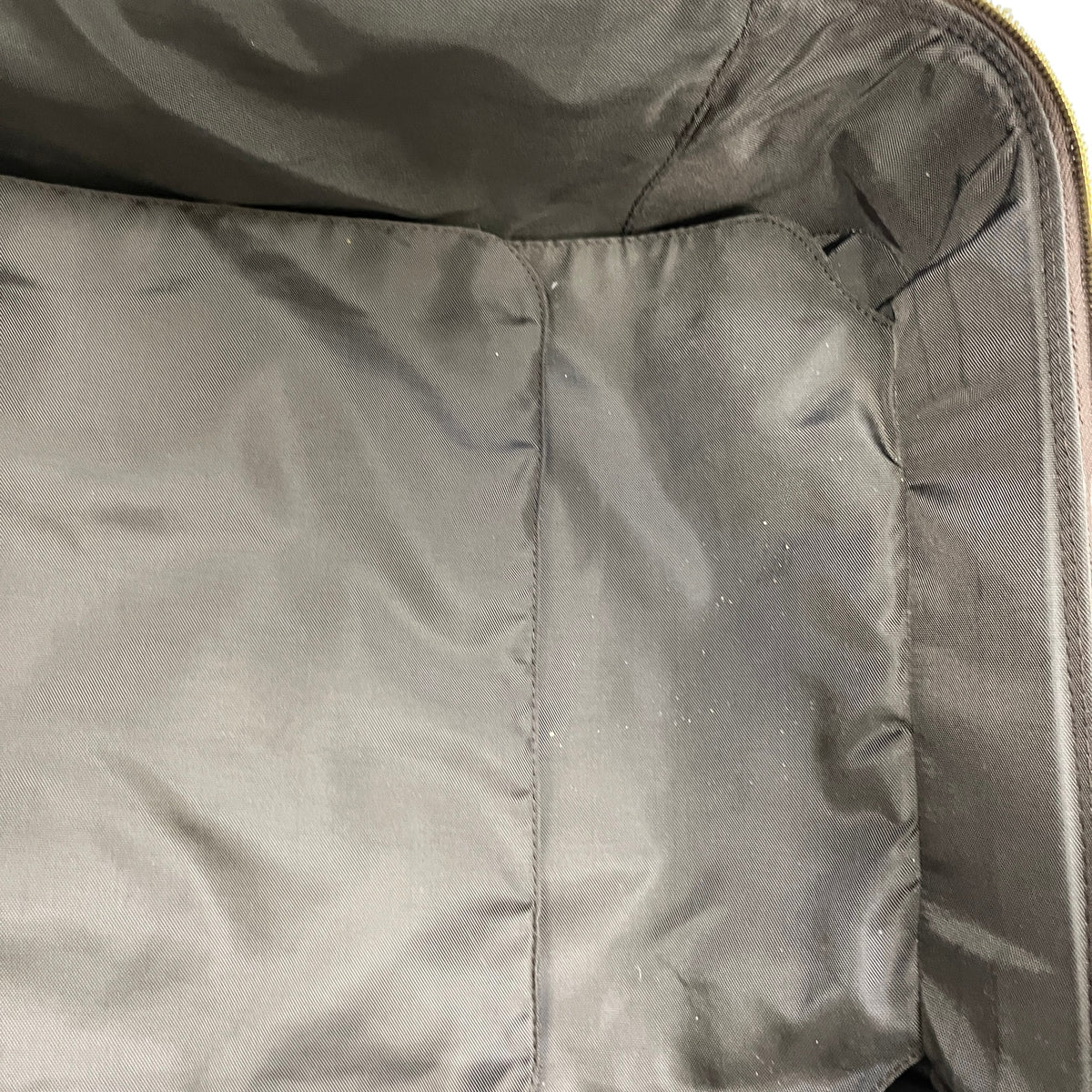 Men's Monogram Pegase 55 Suitcase Brown - Photo 14