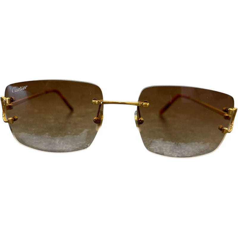 Men's Ct00920 Sunglasses Gold