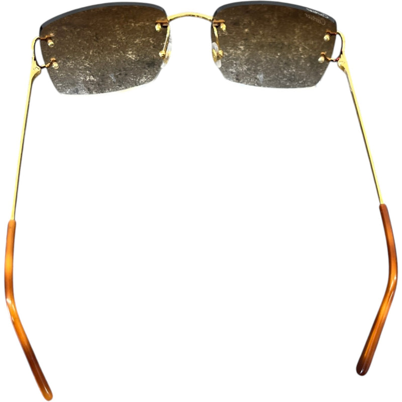 Men's Ct00920 Sunglasses Gold