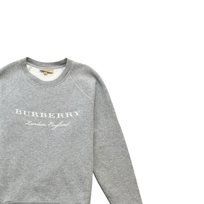 Men's Embroidered Logo Sweatshirt Grey Size L