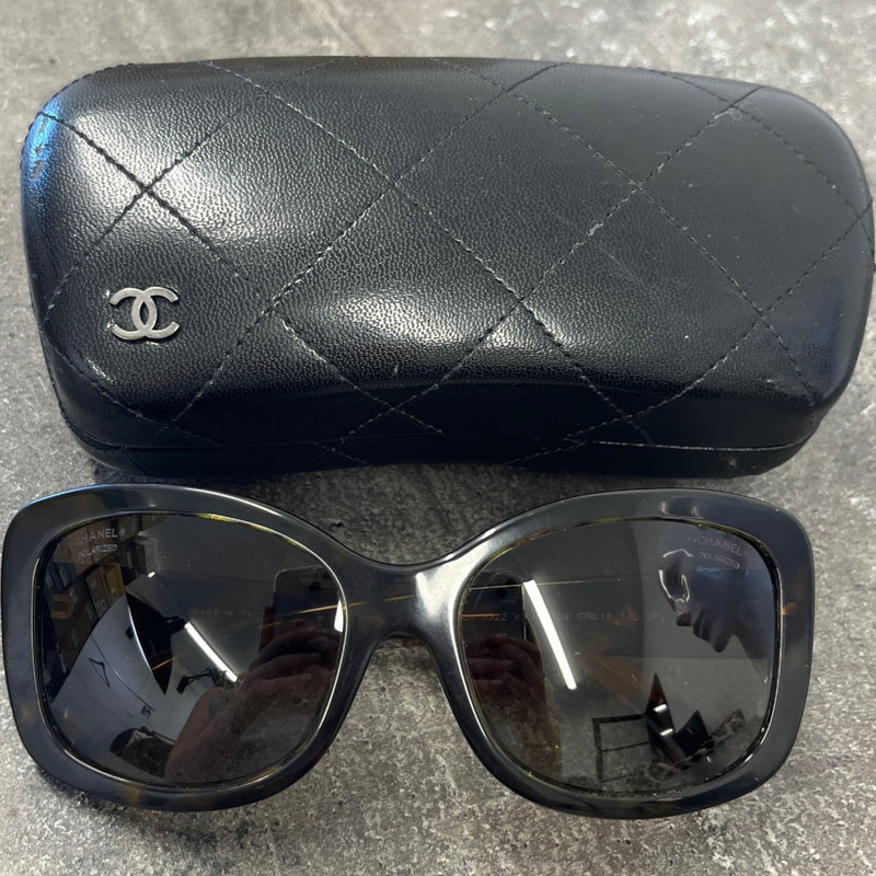 Women's Cc Polarized Sunglasses Brown