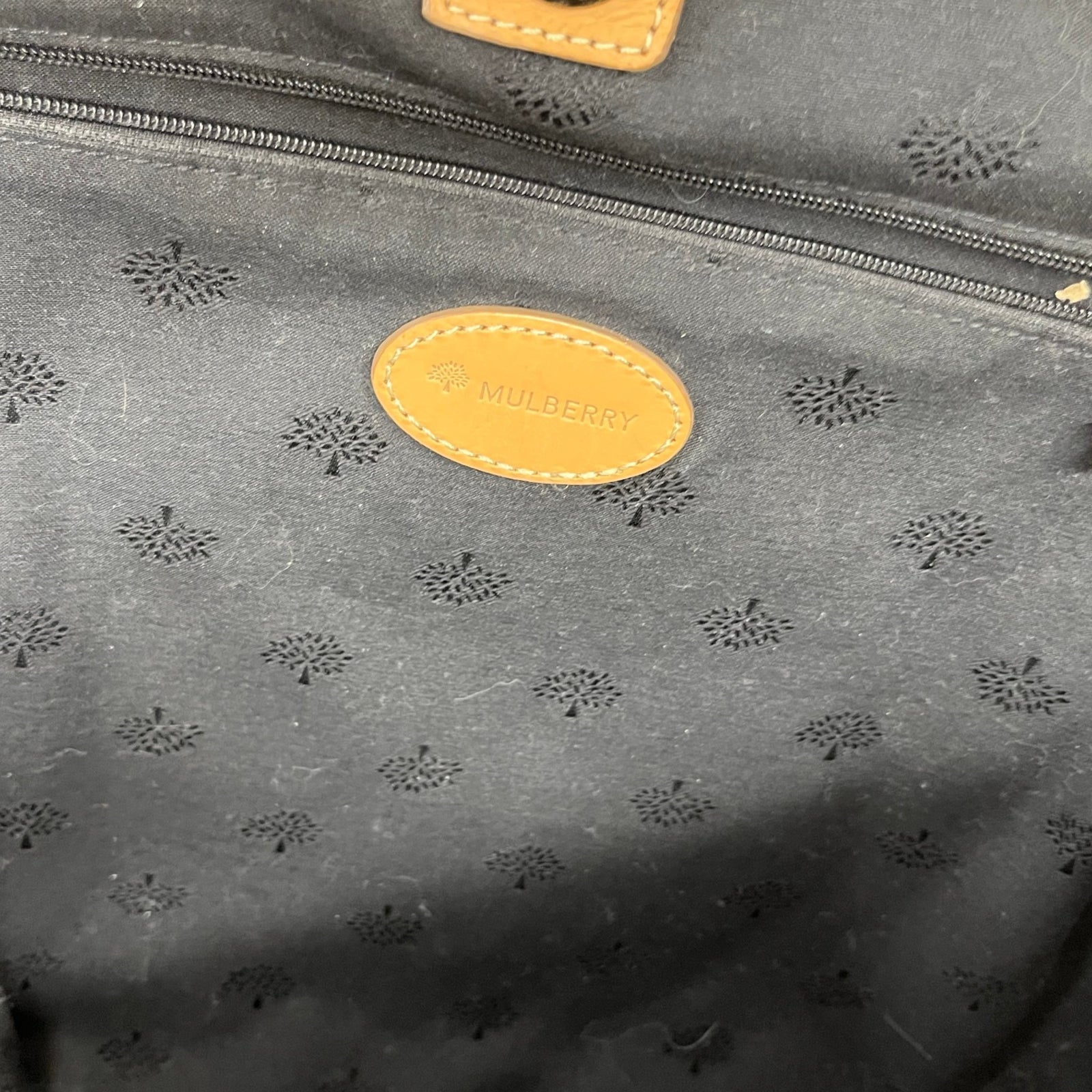Women's Leopard Print Scotchgrain Tote Bag Brown - Photo 13