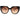 Women's Spr 14W Sunglasses Brown