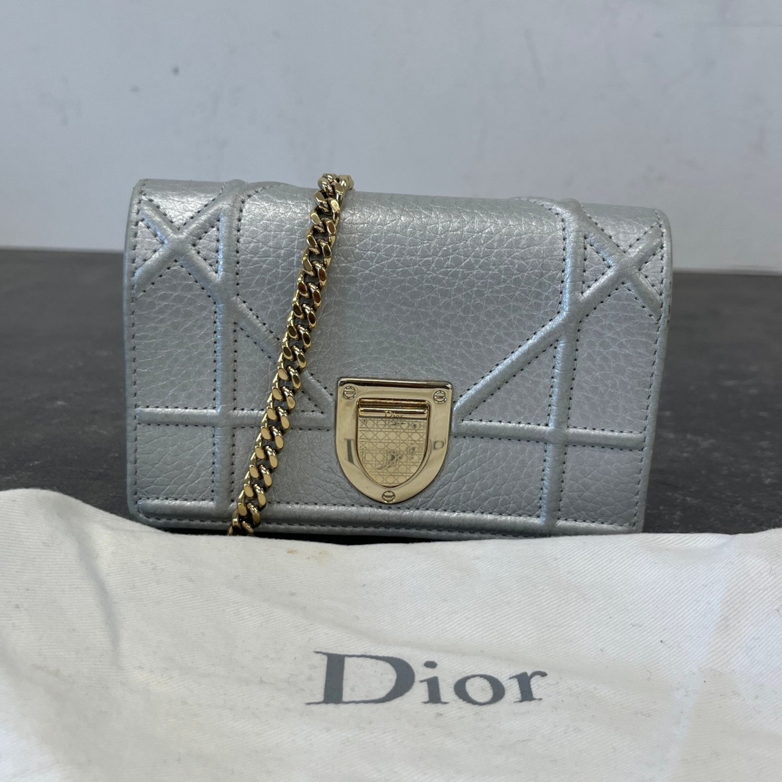 Women's Mini Diorama Handbag Silver - Photo 12