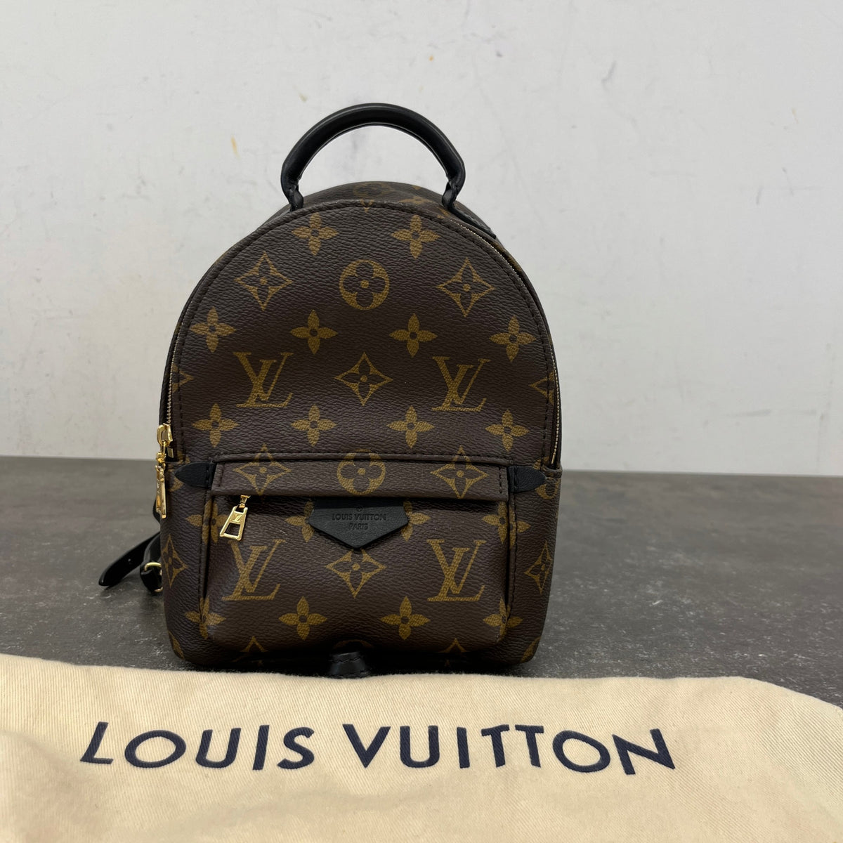 Women's Monogram Palm Springs Mini Backpack Brown - Photo 15