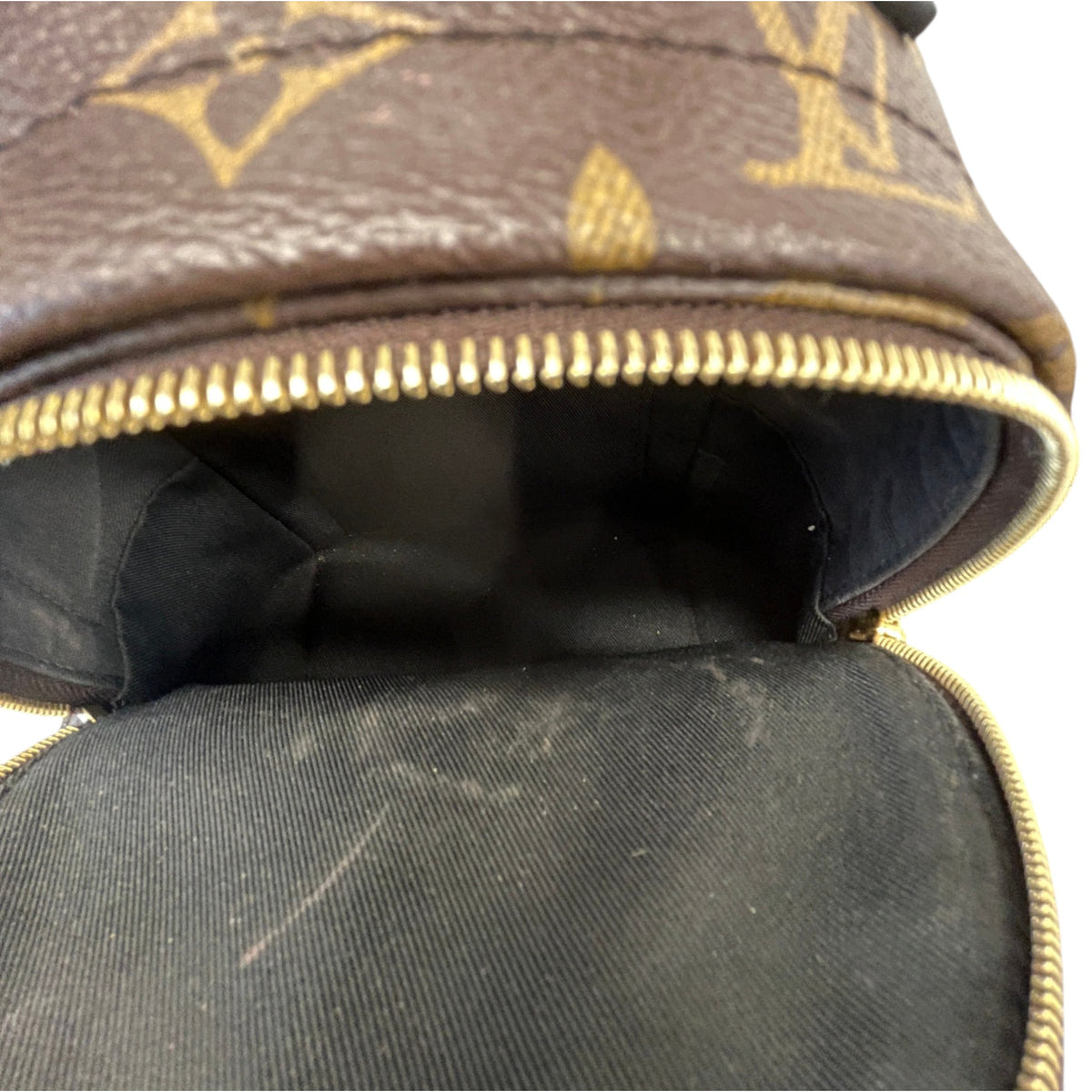 Women's Monogram Palm Springs Mini Backpack Brown - Photo 13
