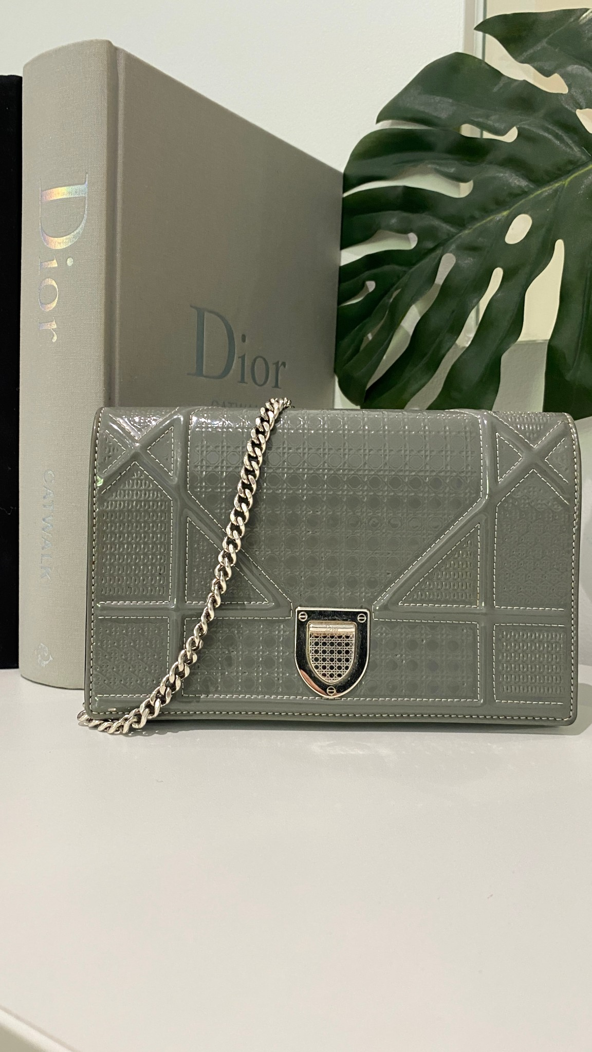 Women's Diorama Wallet On Chain Bag Silver - Photo 9