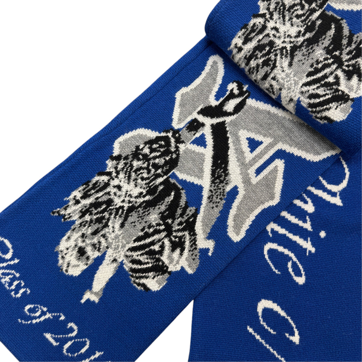 Men's Virgil Abloh Scarf Blue - Photo 6