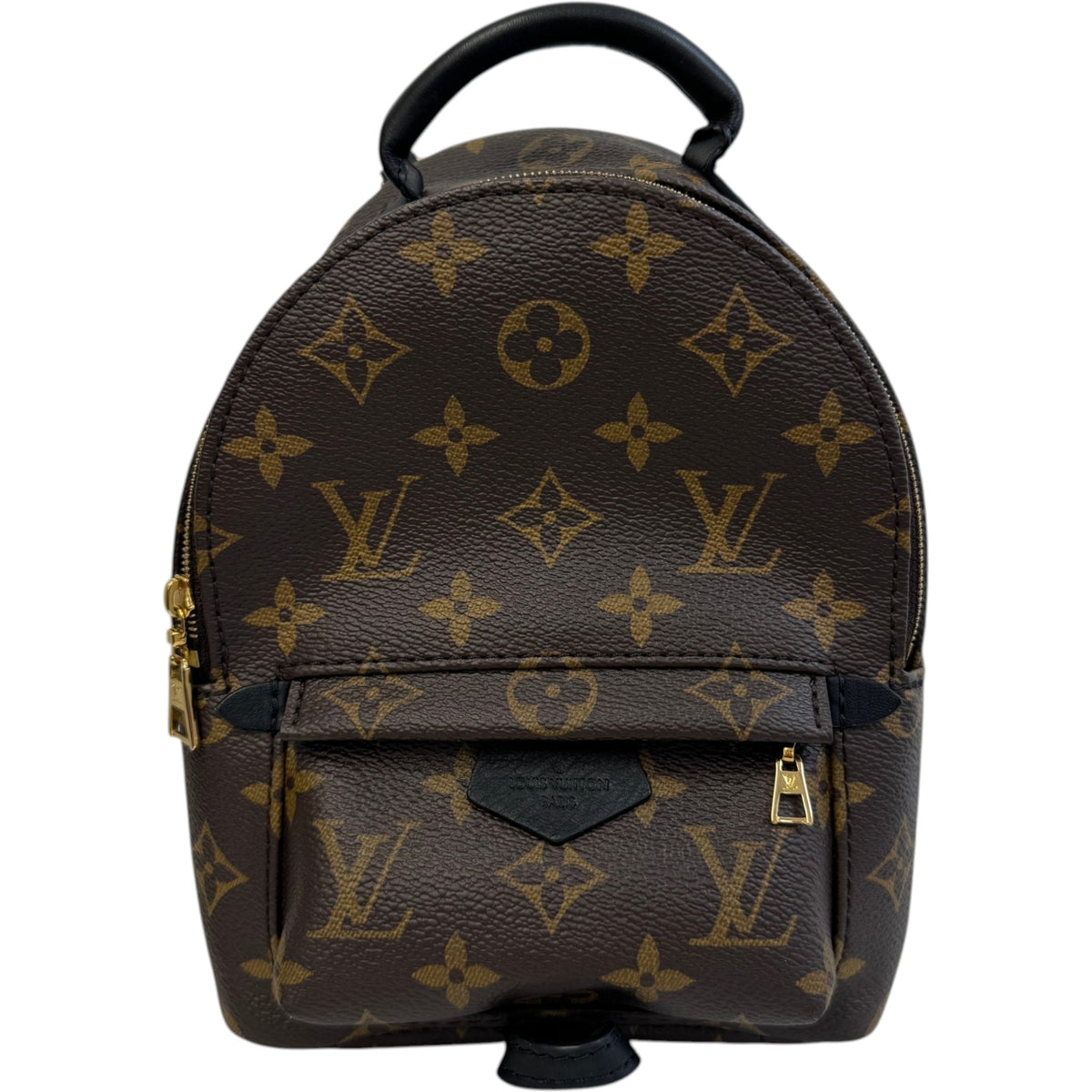 Women's Monogram Palm Springs Mini Backpack Brown - Photo 1