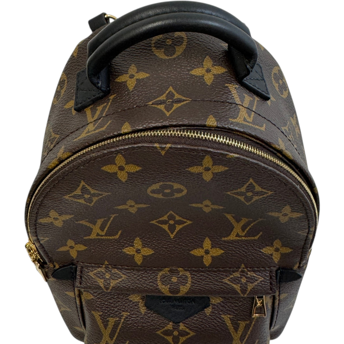 Women's Monogram Palm Springs Mini Backpack Brown - Photo 6
