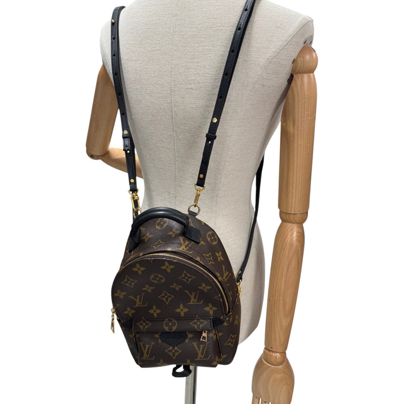 Women's Monogram Palm Springs Mini Backpack Brown