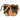 Women's Mini Monogram Noe Bag Brown