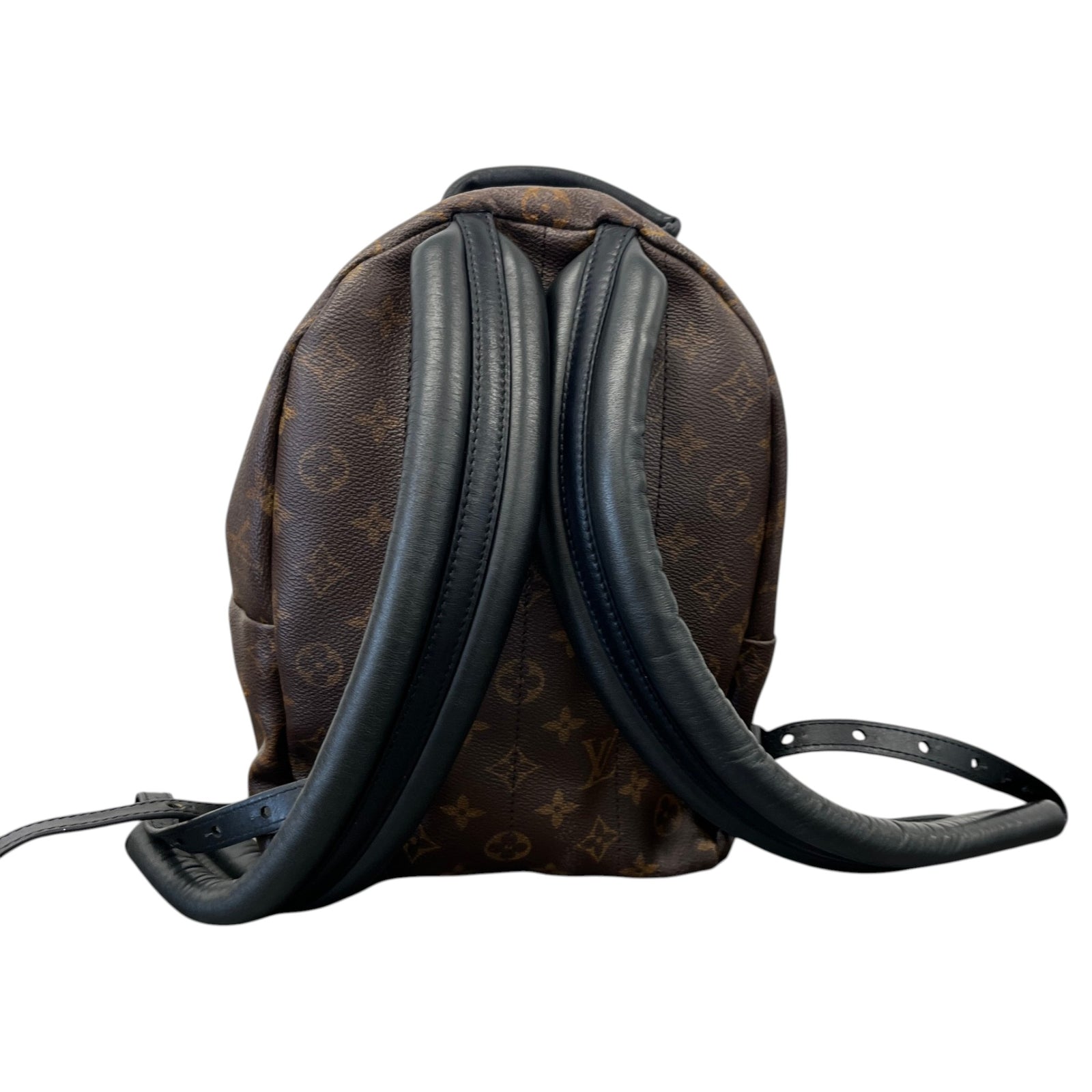 Women's Monogram Palm Springs MM Backpack Brown - Photo 3