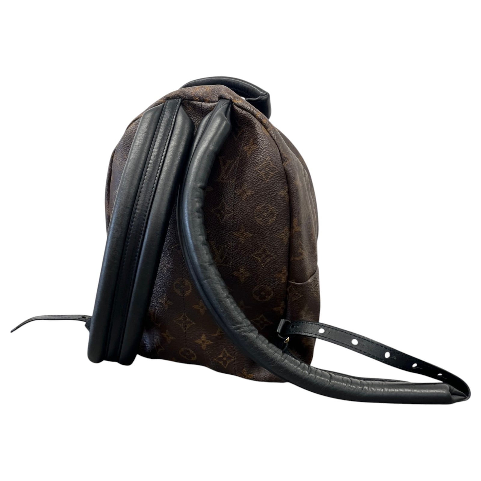 Women's Monogram Palm Springs MM Backpack Brown - Photo 9