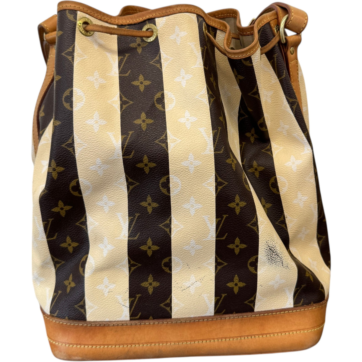 Women's Monogram Rayures Noe Handbag Brown - Photo 3