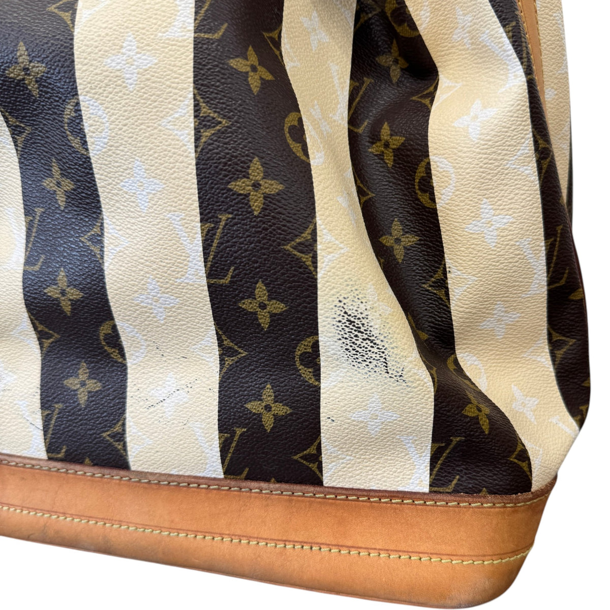 Women's Monogram Rayures Noe Handbag Brown - Photo 7