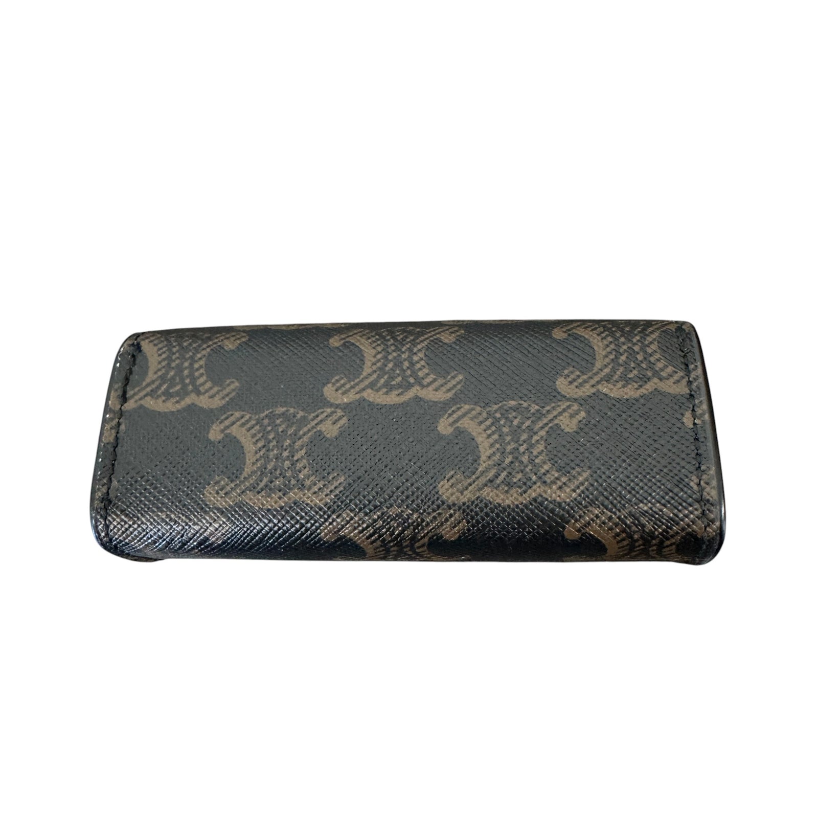 Women's Triomphe Canvas Ring Case Watch Case Brown - Photo 1
