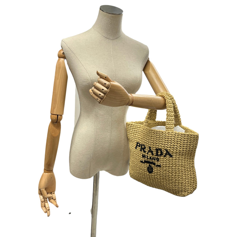 Women's Small Crochet Raffia Tote Handbag Beige